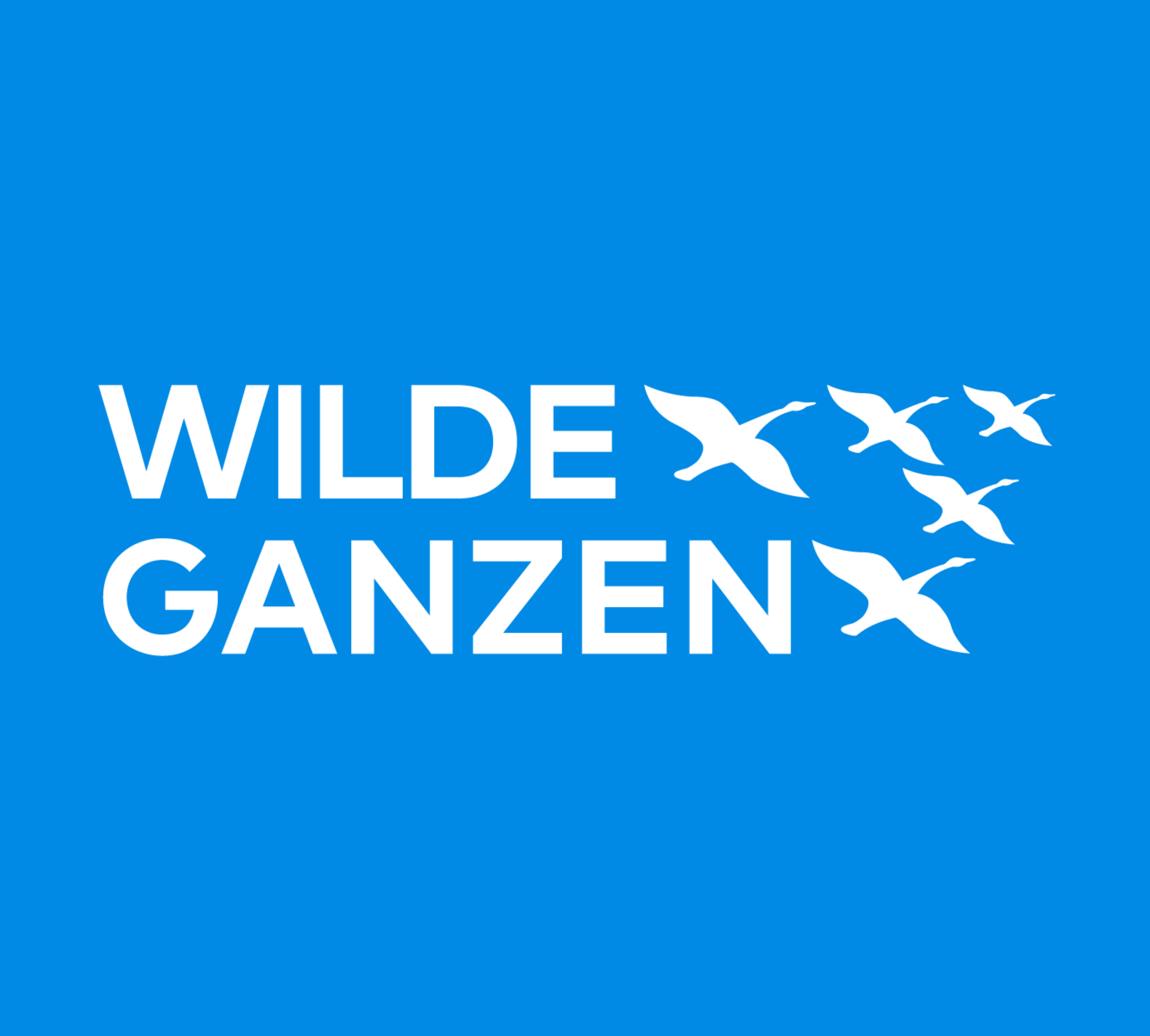 Klantcase: Wilde Ganzen